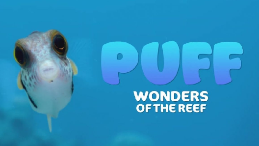 مشاهدة فيلم Puff: Wonders of the Reef 2021 مترجم