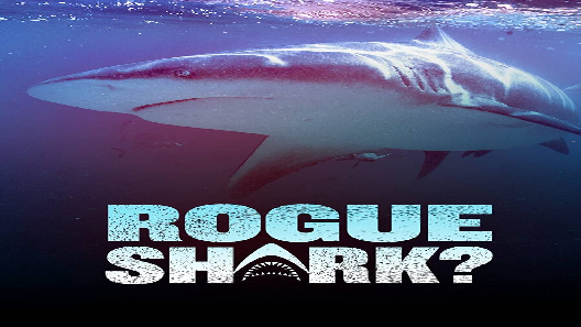 مشاهدة فيلم Rogue Shark 2021 مترجم