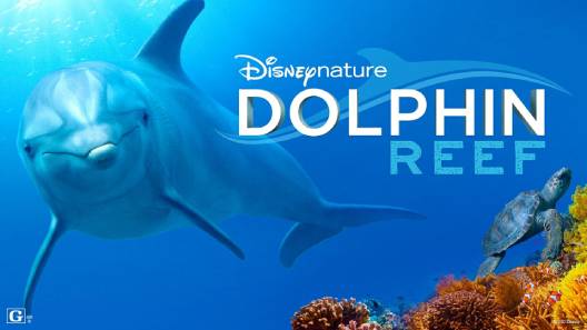 مشاهدة فيلم Dolphin Reef 2020 مترجم