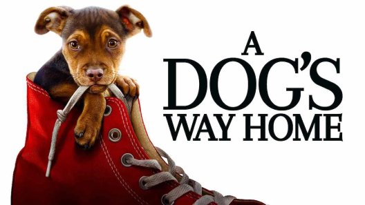 مشاهدة فيلم A Dogs Way Home 2019 مترجم