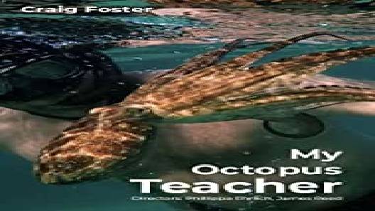 مشاهدة فيلم My Octopus Teacher 2020 مترجم