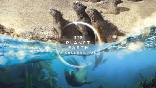 مشاهدة فيلم Planet Earth A Celebration 2020 مترجم