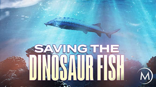 مشاهدة فيلم Saving The Dinosaur Fish 2020 مترجم
