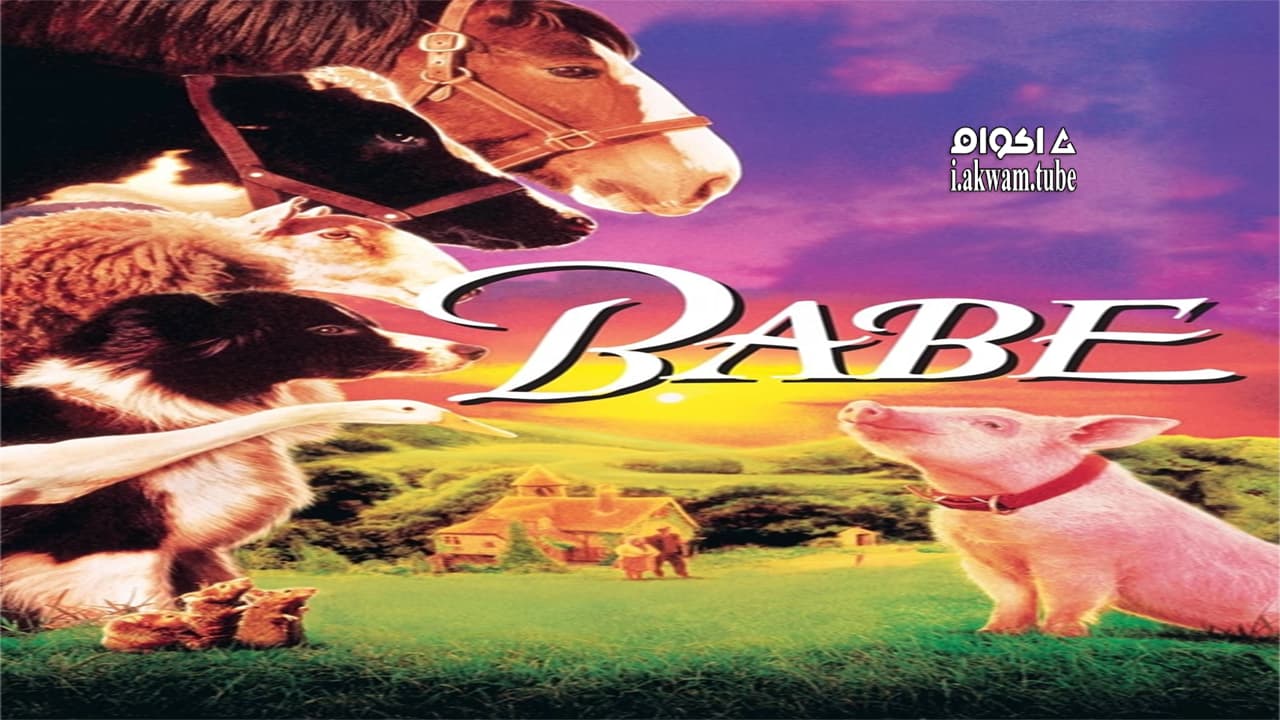 مشاهدة فيلم Babe 1995 مترجم