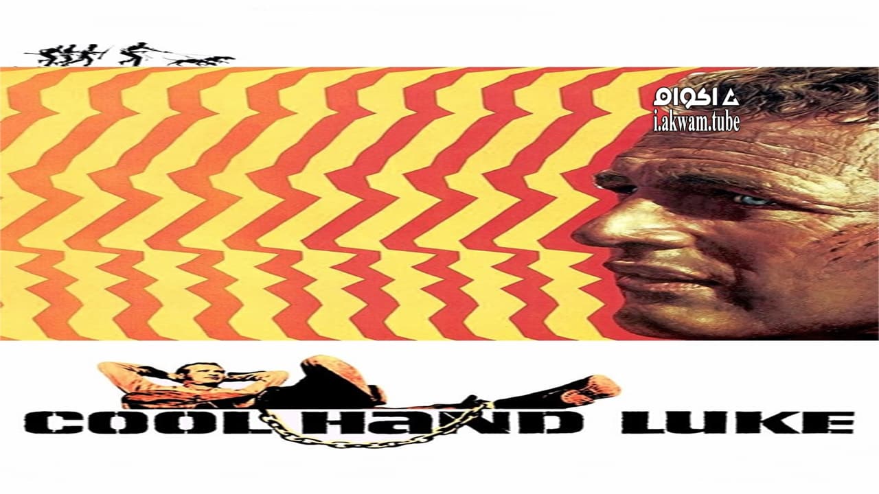 مشاهدة فيلم Cool Hand Luke 1967 مترجم