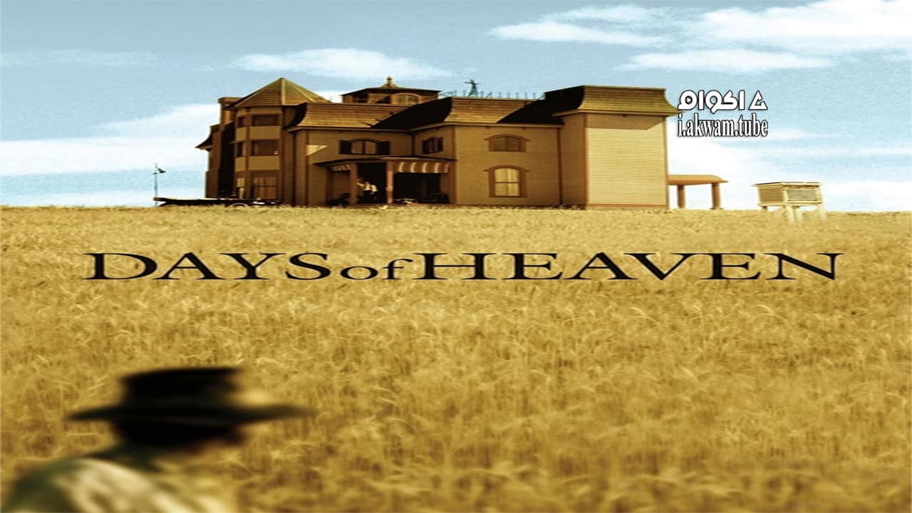 مشاهدة فيلم Days of Heaven 1978 مترجم