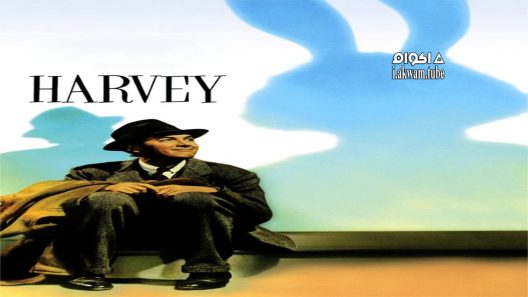 مشاهدة فيلم Harvey 1950 مترجم