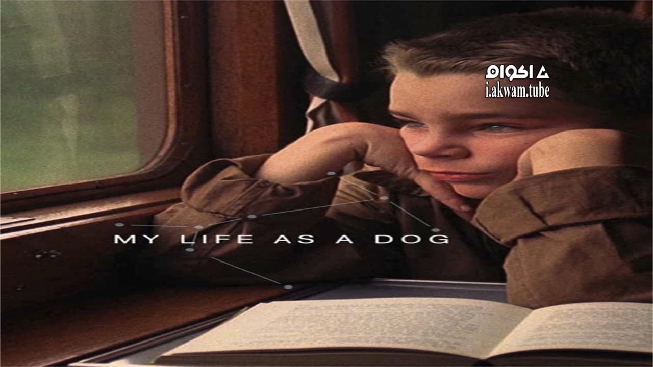 مشاهدة فيلم My Life as a Dog 1985 مترجم