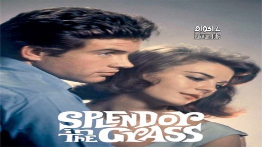 مشاهدة فيلم Splendor in the Grass 1961 مترجم