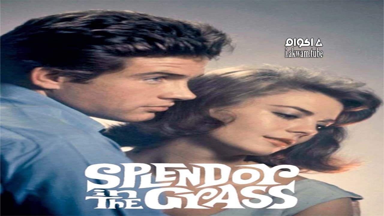 مشاهدة فيلم Splendor in the Grass 1961 مترجم