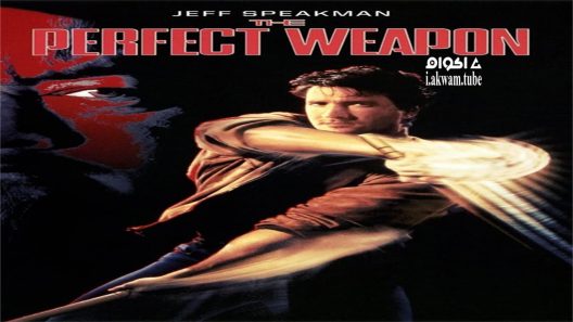 مشاهدة فيلم The Perfect Weapon 1991 مترجم