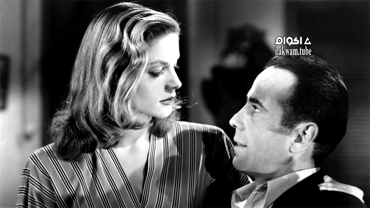 مشاهدة فيلم To Have and Have Not 1944 مترجم