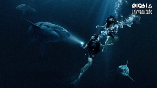 مشاهدة فيلم 47 Meters Down 2017 مترجم