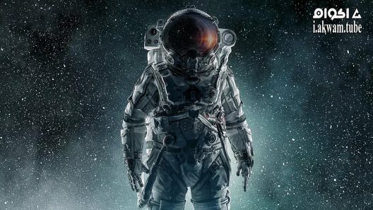 مشاهدة فيلم 5th Passenger 2018 مترجم