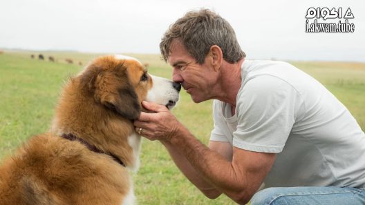 مشاهدة فيلم A Dog’s Purpose 2017 مترجم