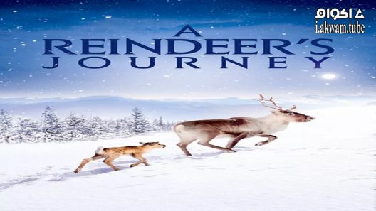مشاهدة فيلم A Reindeer’s Journey 2018 مترجم