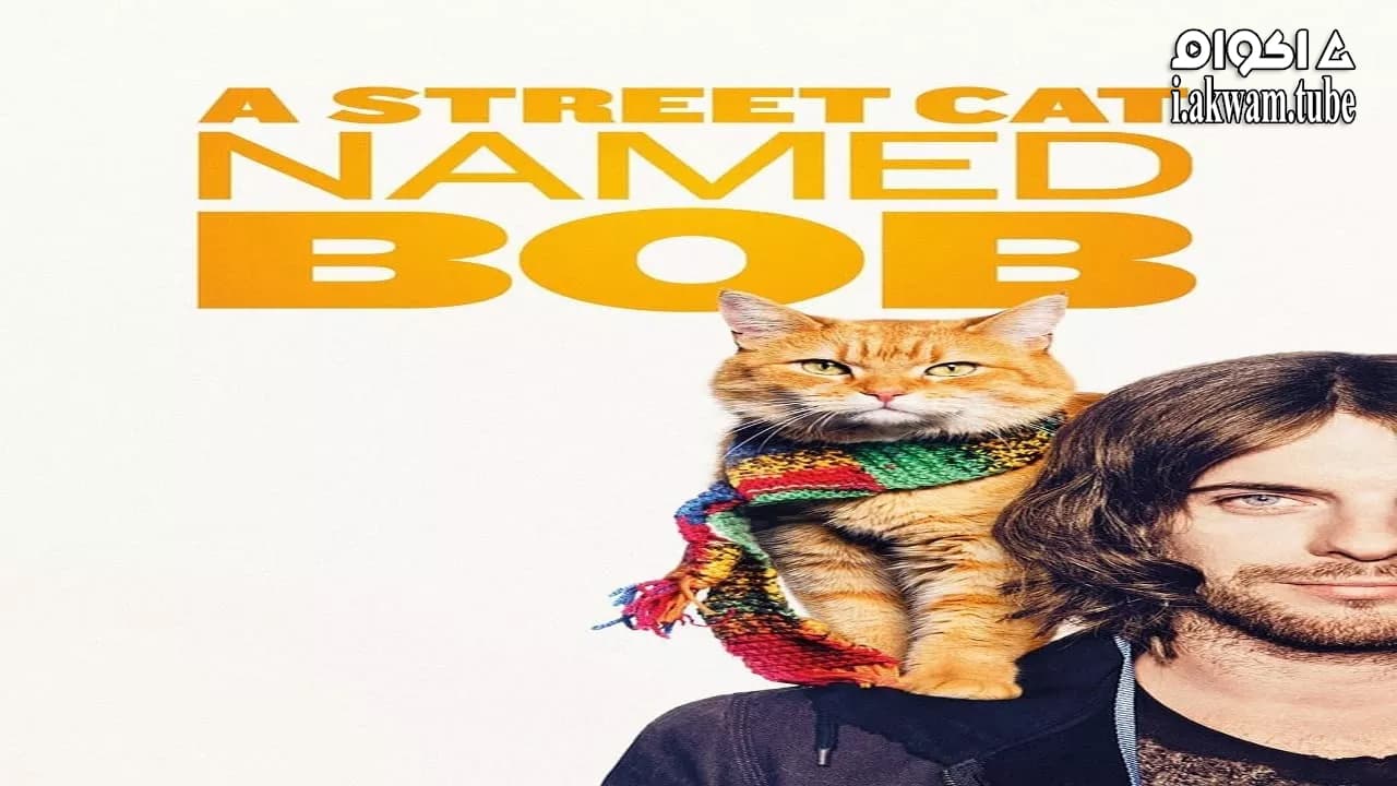 مشاهدة فيلم A Street Cat Named Bob 2016 مترجم