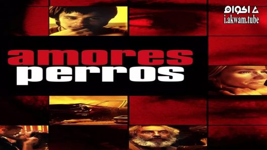 مشاهدة فيلم Amores Perros 2000 مترجم