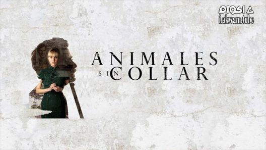 مشاهدة فيلم Animales sin collar 2018 مترجم