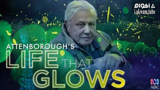مشاهدة فيلم Attenborough’s Life That Glows 2016 مترجم