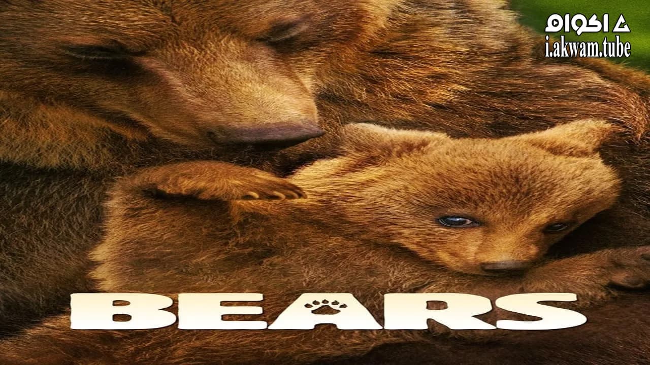 مشاهدة فيلم Bears 2014 مترجم
