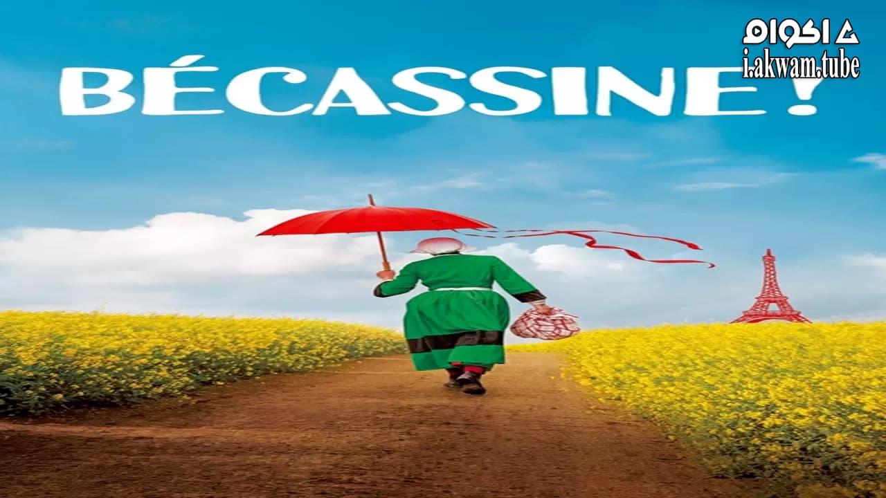 مشاهدة فيلم Bécassine ! 2018 مترجم