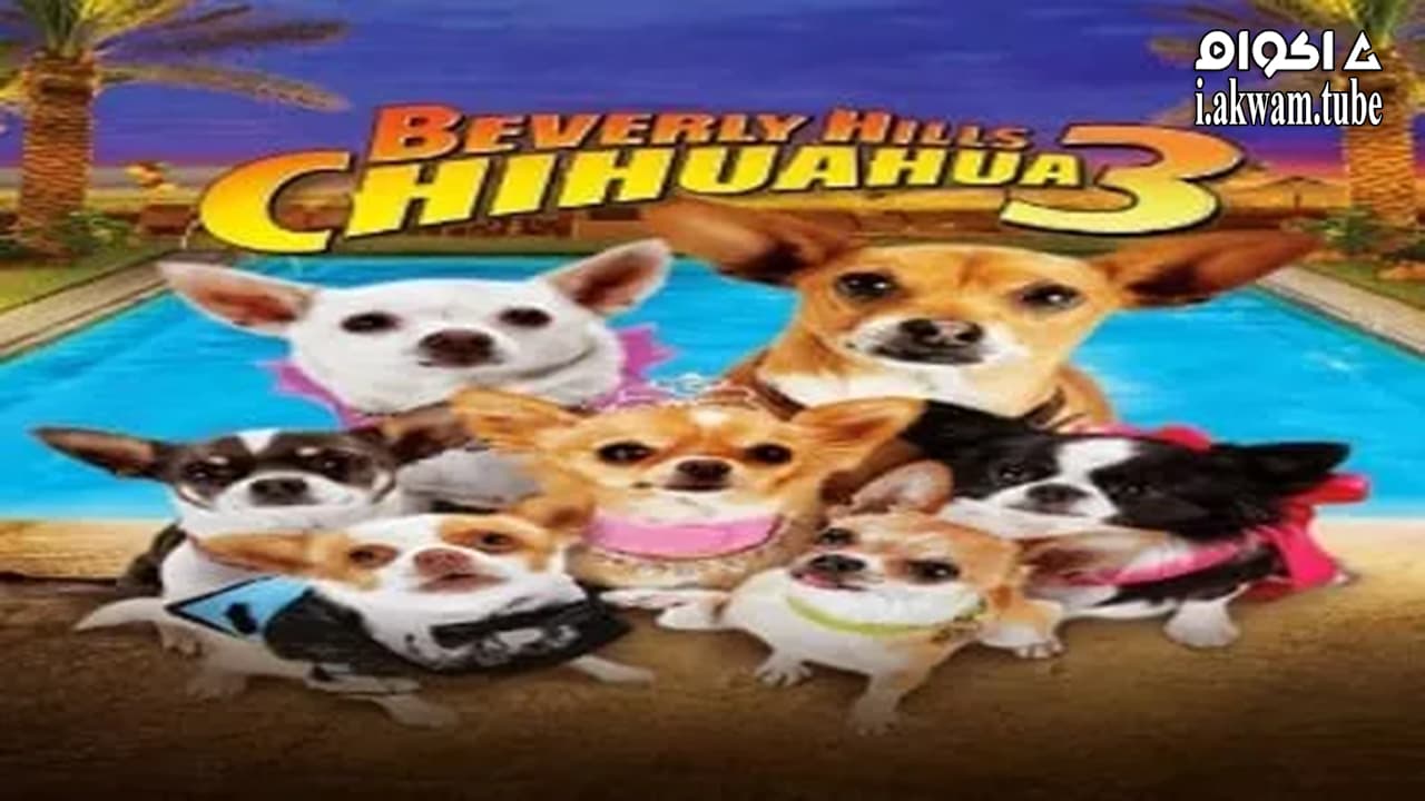 مشاهدة فيلم Beverly Hills Chihuahua 3: Viva la Fiesta! 2012 مترجم
