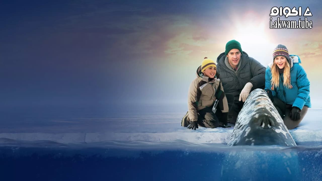 مشاهدة فيلم Big Miracle 2012 مترجم