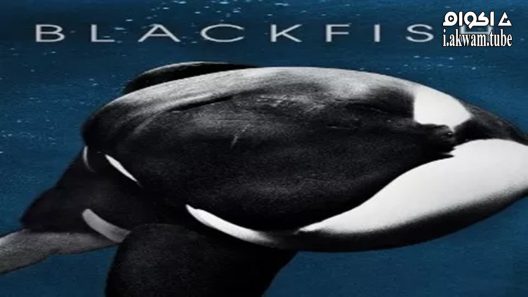 مشاهدة فيلم Blackfish 2013 مترجم