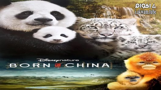 مشاهدة فيلم Born in China 2016 مترجم