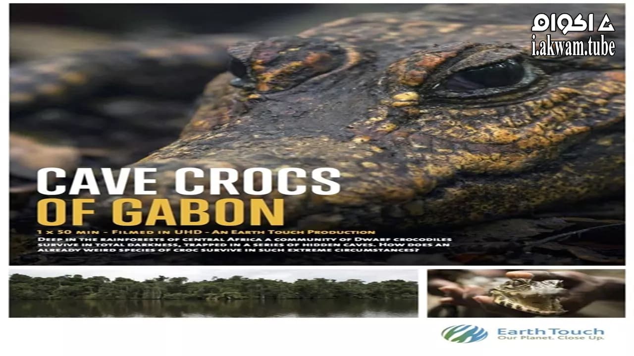 مشاهدة فيلم Cave Crocs of Gabon 2018 مترجم
