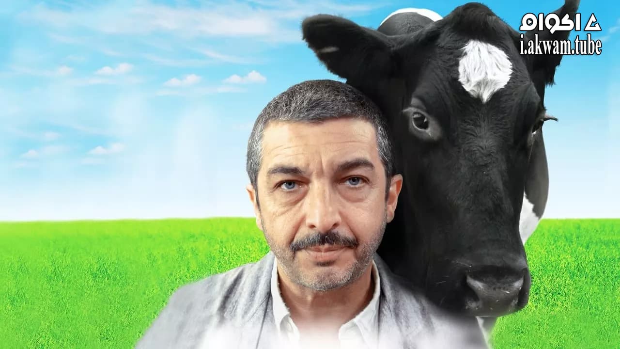 مشاهدة فيلم Chinese Take-Away 2011 مترجم