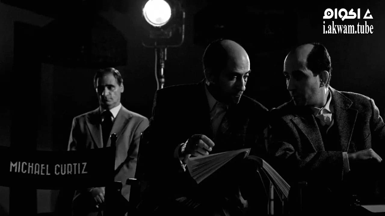 مشاهدة فيلم Curtiz 2018 مترجم