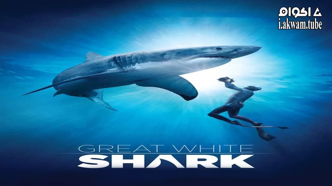 مشاهدة فيلم Great White Shark 2013 مترجم