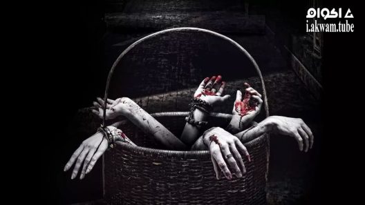 مشاهدة فيلم Horror Story 2013 مترجم