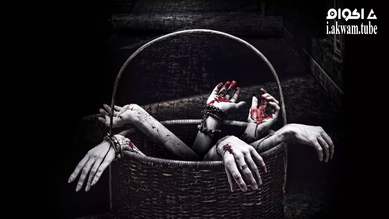 مشاهدة فيلم Horror Story 2013 مترجم