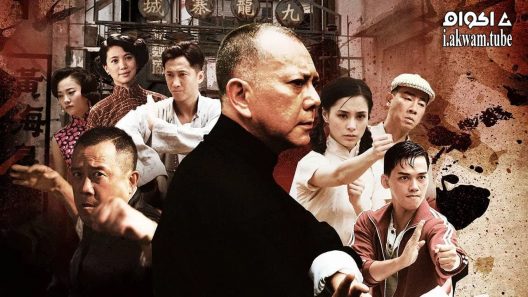 مشاهدة فيلم Ip Man: The Final Fight 2013 مترجم