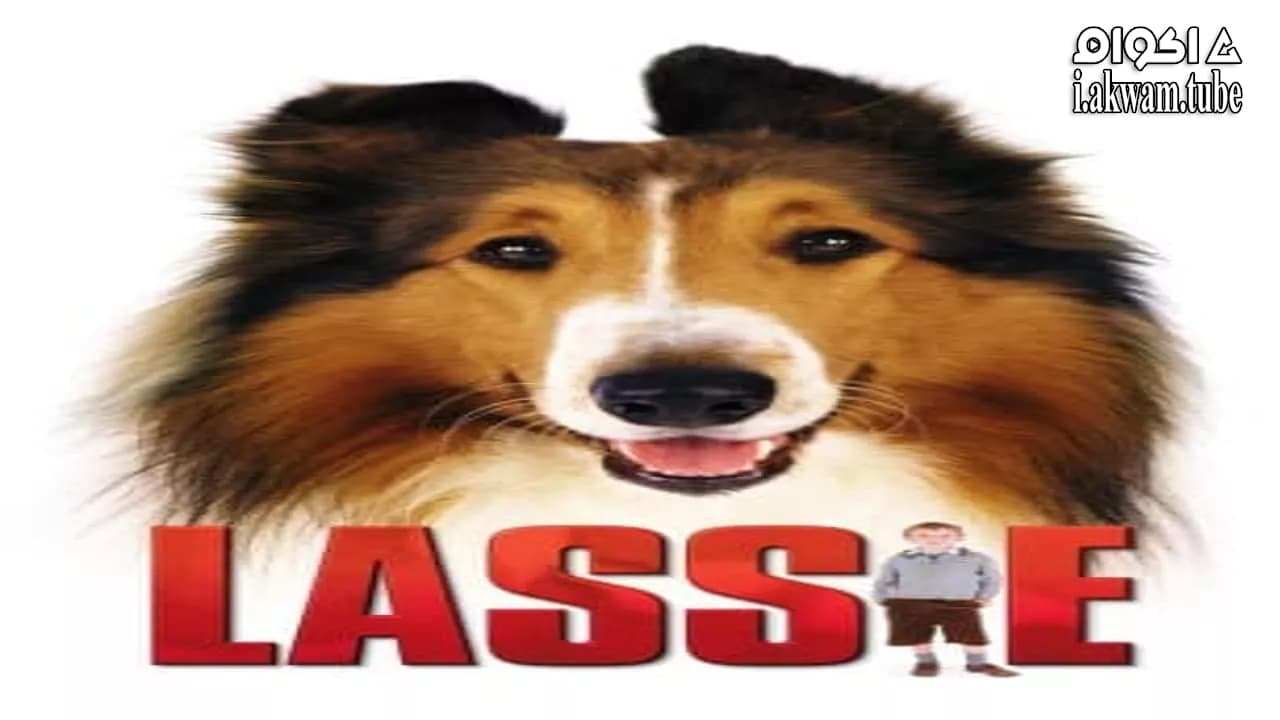 مشاهدة فيلم Lassie 2005 مترجم