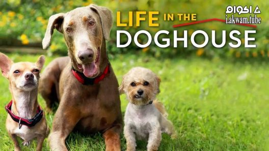 مشاهدة فيلم Life in the Doghouse 2018 مترجم