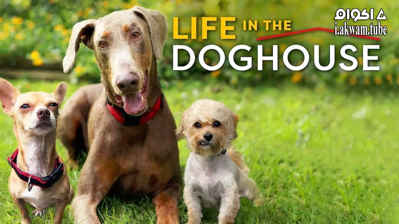 مشاهدة فيلم Life in the Doghouse 2018 مترجم
