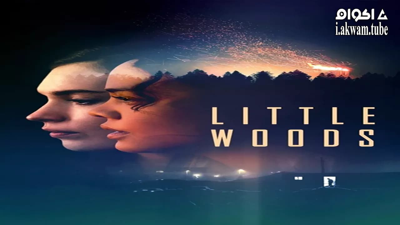 مشاهدة فيلم Little Woods 2018 مترجم