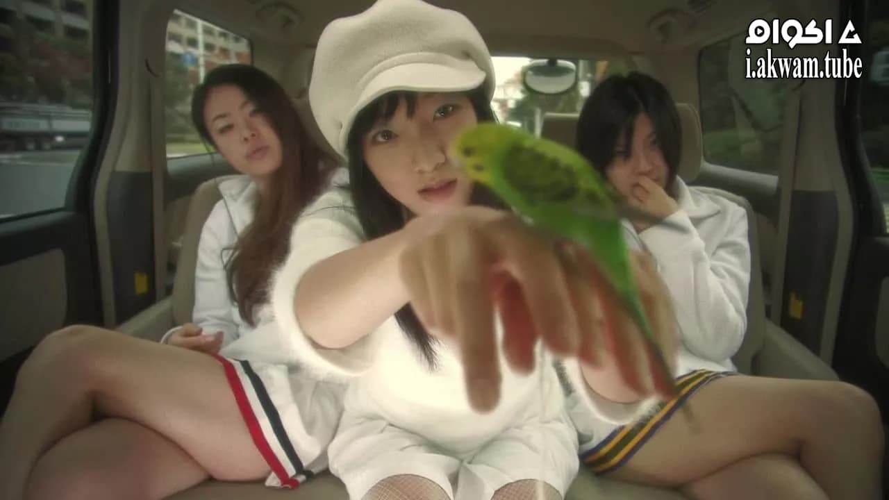 مشاهدة فيلم Love Exposure 2008 مترجم