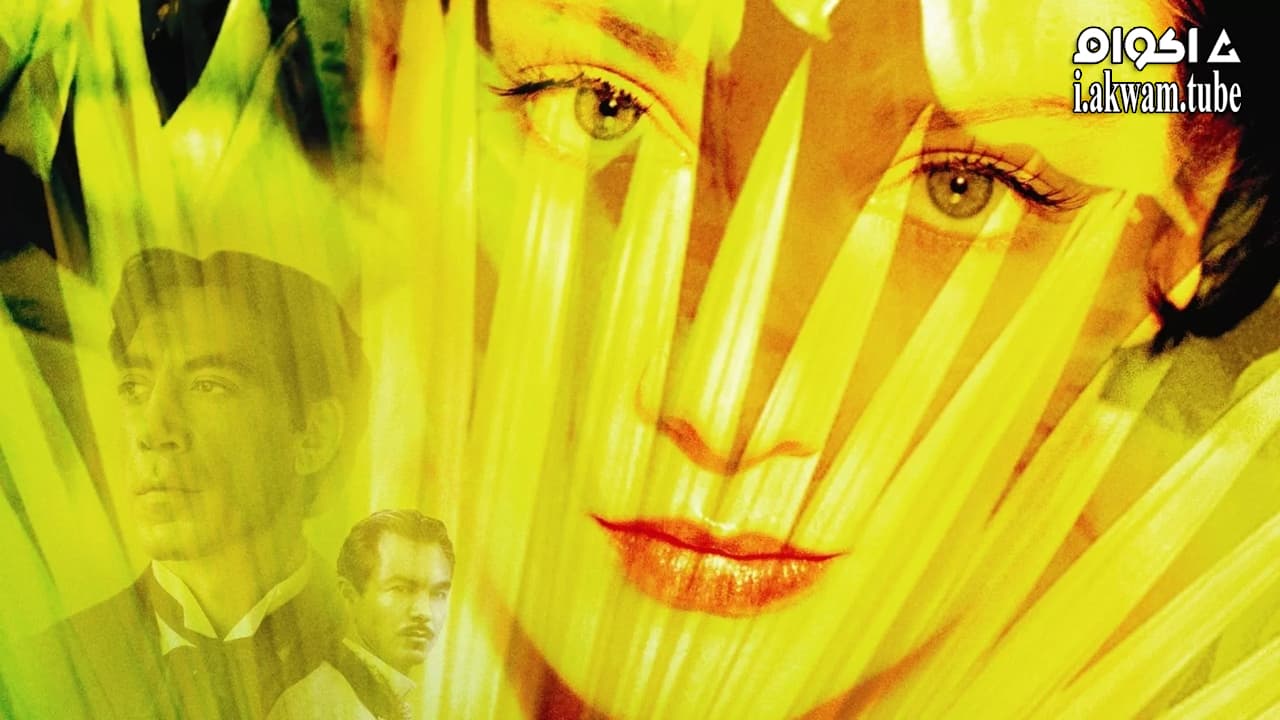 مشاهدة فيلم Love in the Time of Cholera 2007 مترجم