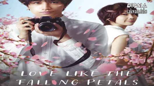 مشاهدة فيلم Love Like the Falling Petals 2022 مترجم