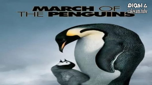 مشاهدة فيلم March of the Penguins 2005 مترجم