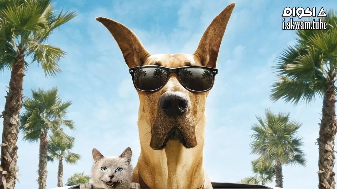 مشاهدة فيلم Marmaduke 2010 مترجم