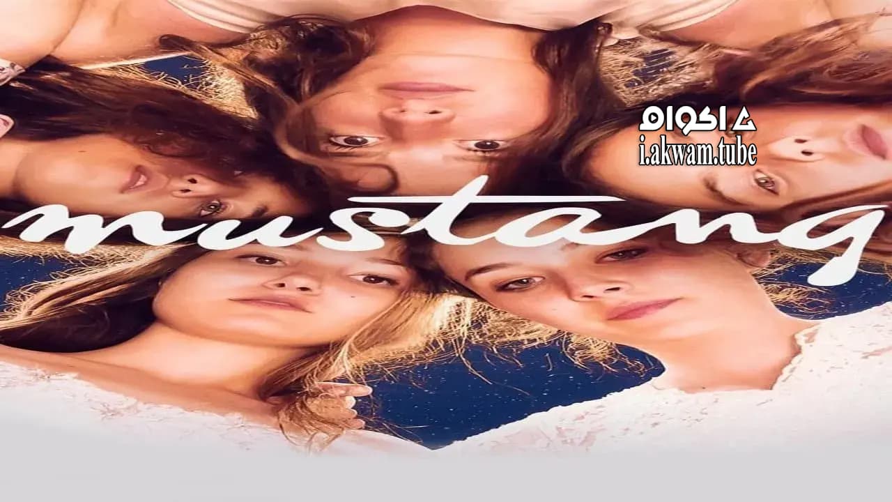 مشاهدة فيلم Mustang 2015 مترجم