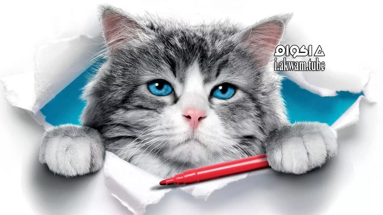 مشاهدة فيلم Nine Lives 2016 مترجم