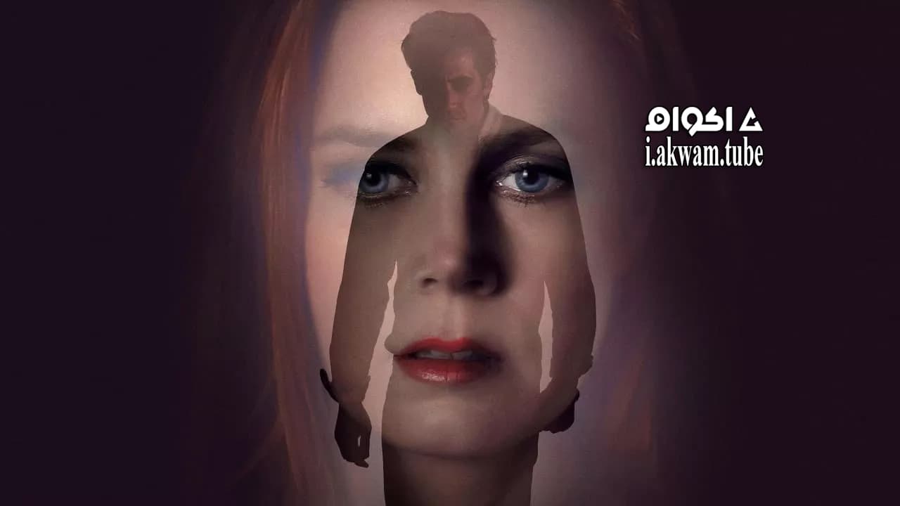 مشاهدة فيلم Nocturnal Animals 2016 مترجم