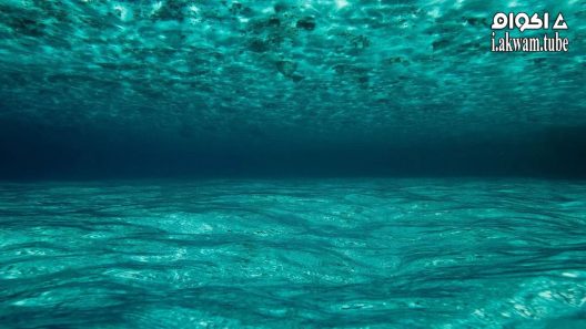 مشاهدة فيلم OceanWorld 3D 2009 مترجم